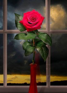 10849722_328202300701481_4887937681746633044_n