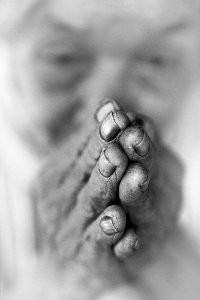 524155_471144722953913_1147285337_n