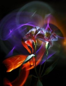 1525472_685872044766969_1109955087_n