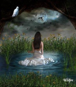 10997338_352906701564374_8970424036481353947_n